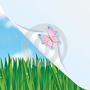 Colorful butterfly and green grass and blue sky