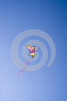 Colorful butterfly kite in blue sky