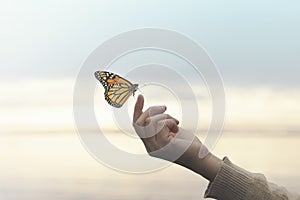 colorful butterfly leans on a woman`s hand