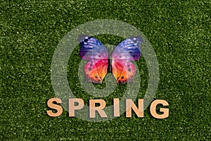 Colorful butterfly and `Spring` made from wooden letters