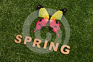 Colorful butterfly and `Spring` made from wooden letters