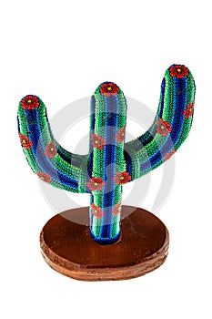 Colorful cactus photo