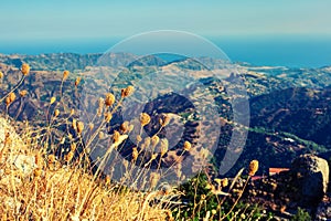 Colorful Calabria photo