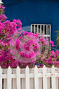 Colorful caribbean house with a picked fence