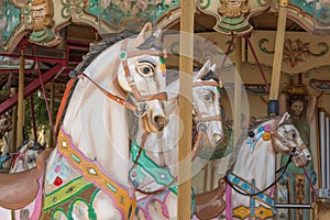 Colorful Carousel Horses in a Holiday Park, Merry-go-round Horse