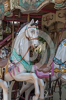 Colorful Carousel Horses in a Holiday Park, Merry-go-round Horse