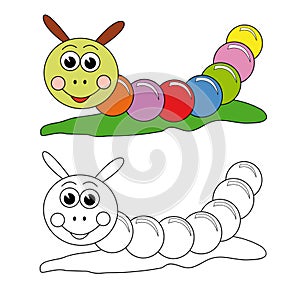 Colorful caterpillar photo
