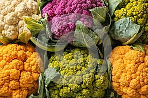Colorful cauliflowers on table, top view