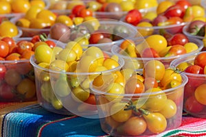 Colorful Cherry Tomatoes