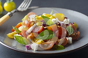 Colorful cherry tomatoes and basil salad on a plate, dark background. Healthy, summer food