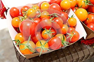 Colorful Cherry tomatoes in cardboard boxes, healthy snacks