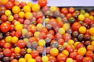 Colorful Cherry tomatoes on farmer agricultural market