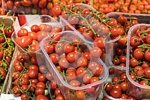 Colorful cherry tomatoes in local market fruit stand