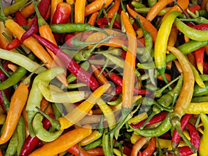 Colorful Chili Peppers