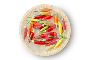 Colorful chili peppers plate isolated