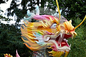 Colorful Chinese Dragon Head