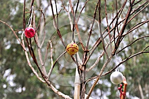 Colorful christmas balls hanging from dry tree in the square