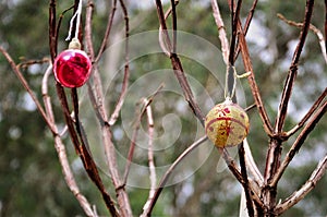 Colorful christmas balls hanging from dry tree in the square