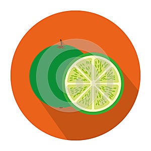 colorful circular shape with lemon fruit and slice