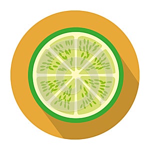 colorful circular shape with slice lemon fruit