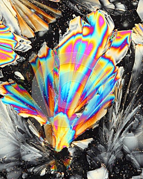Colorful citric acid crystals