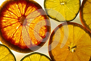 Colorful Citrus Fruit Slices with Backlighting photo