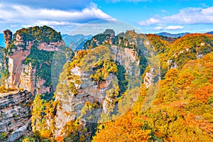 Colorful cliffs in Zhangjiajie Forest Park. photo