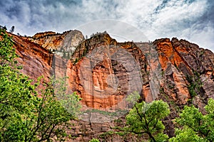 Colorful Cliffs at Zion National Park, Utah.