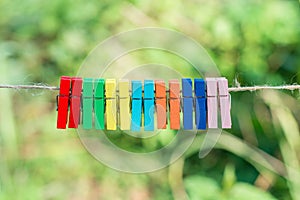 Colorful clothes peg with green background