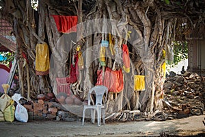 Colorful cloths are hanging in a sacred fig, India