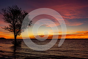 Colorful clouds during sunset with a tree in the river that demarcates its silhouette