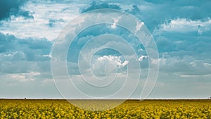 Colorful Cloudy blue Sky fluffy Clouds On Horizon Above Canola Colza Rapeseed Field. Time Lapse, Timelapse, Time-lapse