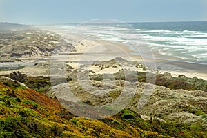 The colorful coast and dunes near Florence, Oregon, USA