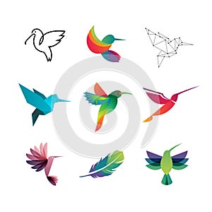 Colorful Colibri. Hummingbirds for Logo Concepts .EPS10