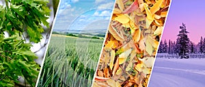 Colorful collage of landscape backgrounds, change of four seasons, summer, spring, winter, autumn time of the year, seasonal