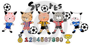 A colorful collection Sports Football & Cats 1