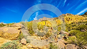 Colorful Colorful Yellow and Orange Geological Layers of Usery Mountain surrounded by Large Boulders, Saguaro and other Cacti