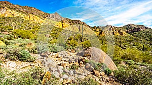 Colorful Colorful Yellow and Orange Geological Layers of Usery Mountain surrounded by Large Boulders, Saguaro and other Cacti