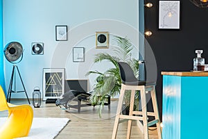 Colorful concept for loft