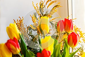 Colorful congratulatory spring bouquet of tulips and Mimosa. Small focus selected.