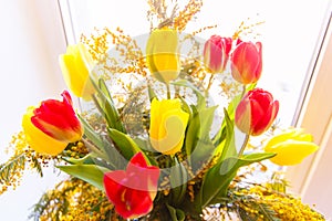 Colorful congratulatory spring bouquet of tulips and Mimosa. Small focus selected.