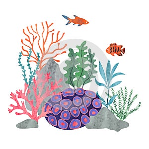 Colorful coral reef scene with sea fish. Vector watercolor marine illustration
