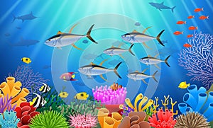 Colorful coral reef with tuna fish and stone