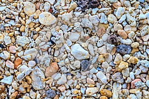 Colorful coral sand, Ilig Iligan Beach, Boracay Island, Philippines