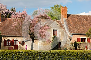 Colorful Cottage . Chenonceau. France