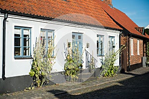 Colorful cottages