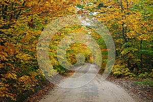 Colorful country road