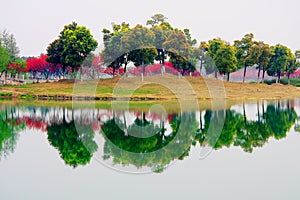 Colorful country view and reflection in winter