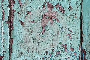 Colorful craquelure of the delaminated paint on wooden door background. Wooden texture background with old paint peels. Weathered