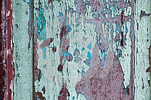 Colorful craquelure of the delaminated paint on wooden door background. Wooden texture background with old paint peels. Weathered